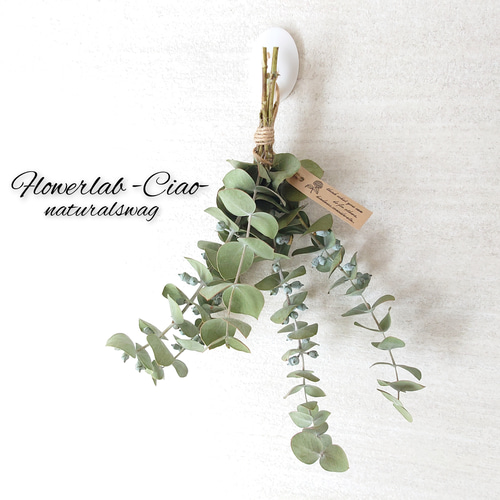 ユーカリ銀世界 ナチュラルリーフミニスワッグ♡ アートフラワー  