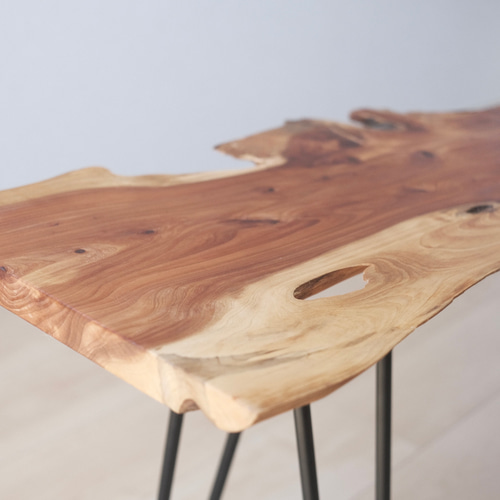 貝塚伊吹のローテーブル / サイドテーブル / side table / 一枚 貝塚伊吹のローテーブル / サイドテーブル / side table / 一枚