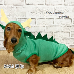 龍パーカー 辰 2024干支 ドラゴン 龍 犬服 年賀状 コスプレ 1枚目の画像