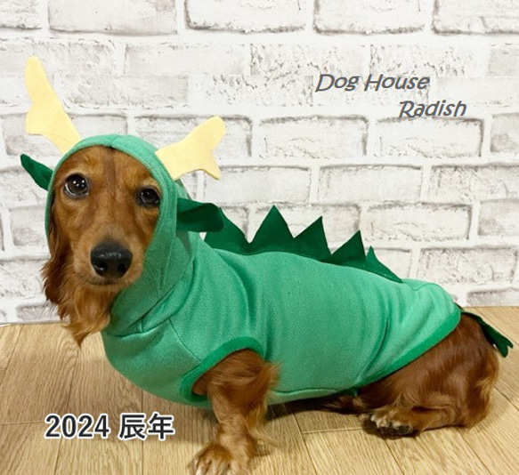 龍パーカー 辰 2024干支 ドラゴン 龍 犬服 年賀状 コスプレ ペット服 ...