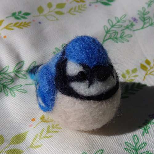 トロント・ステンドグラス Blue Jay ブルージェイ アオカケス  