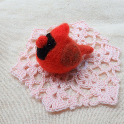 海外の鳥シリーズ～カーディナルス～ 2枚目の画像