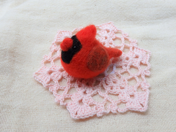 海外の鳥シリーズ～カーディナルス～ 2枚目の画像