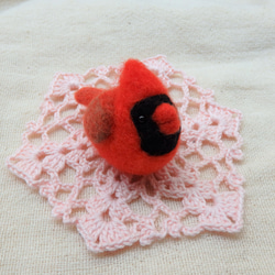 海外の鳥シリーズ～カーディナルス～ 3枚目の画像