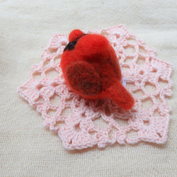 海外の鳥シリーズ～カーディナルス～ 4枚目の画像