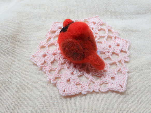 海外の鳥シリーズ～カーディナルス～ 4枚目の画像