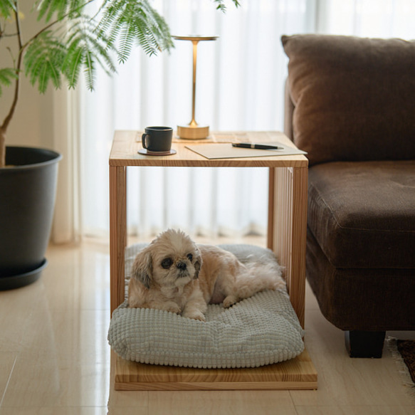 木製ペットハウス　サイドテーブルにもなるドッグハウス　犬小屋　無垢材　天然塗料 2枚目の画像