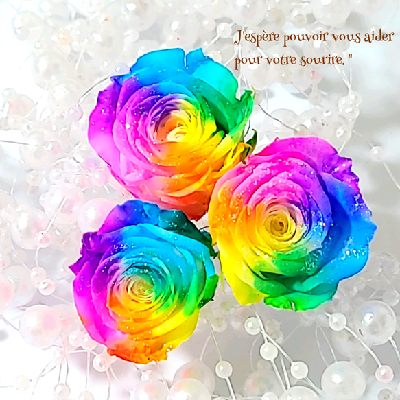 レインボーカラー プリザーブドフラワー アレンジメント 新色