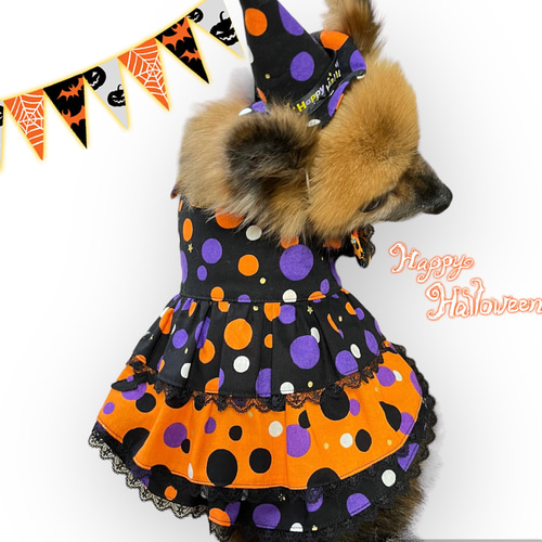 犬服  ラグラン(Ｓ)   ꒡̈⃝Lily꒡̈⃝ハンドメイド  ☆ハロウィン☆ 犬服ハンドメイド✨ハロウィン✨