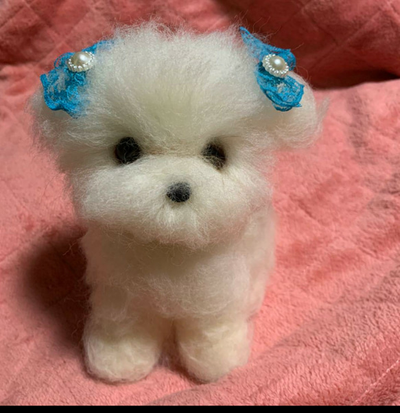 羊毛フェルトハンドメイドマルチーズ 羊毛フェルト moemo 通販