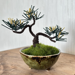 cb81c97b11ff4d10c980fb98c38b21