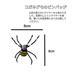 【セット販売】コガネグモ&セアカゴケグモピンバッジ 3枚目の画像