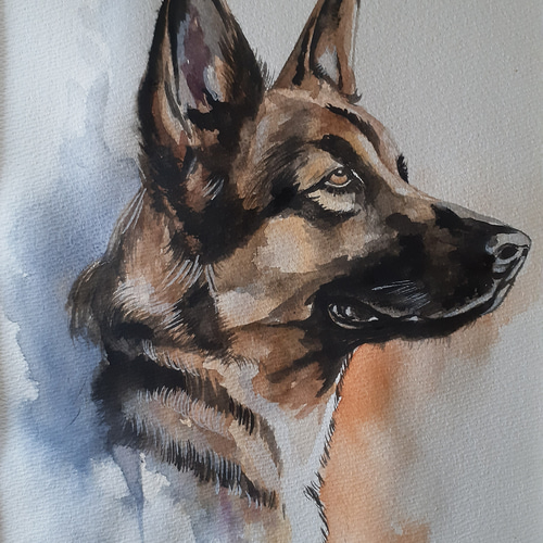 水彩画 ジャーマンシェパード 絵画 makochin 通販 16546531