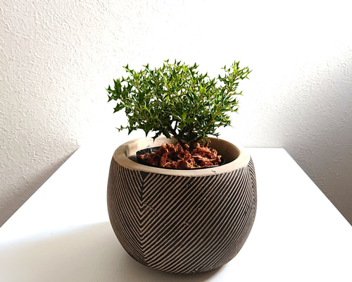 dd2a1e3e562c11ff2b0114efe6199f