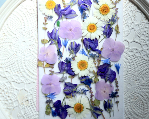 押し花　美品 8a227fc40c17ae0b8be1e9b2296d39