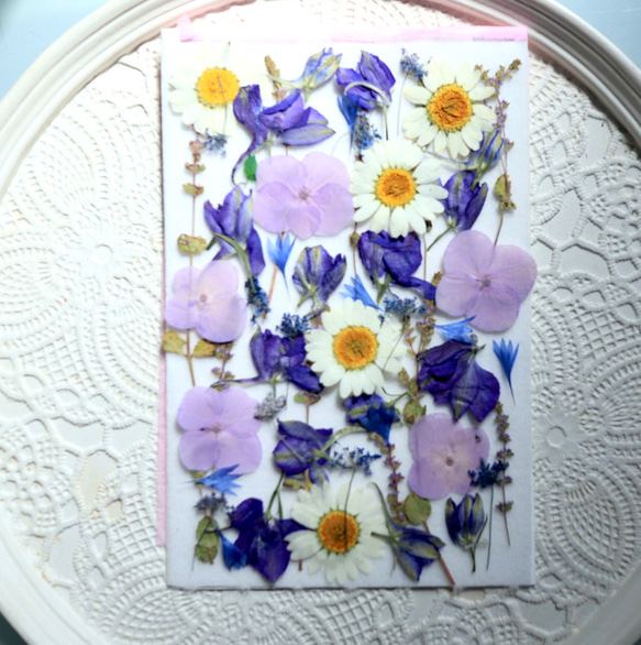 押し花紫陽花と小花セット 1枚目の画像
