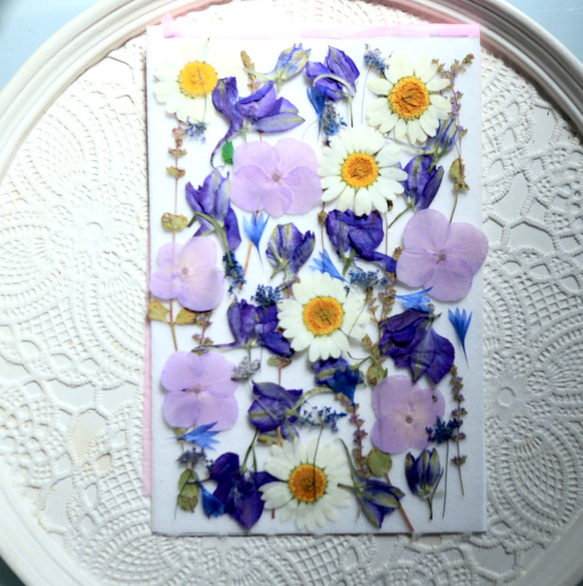 秋葉区産】紫陽花（品種：アズライト）※数量限定※ | 新潟ごっつ