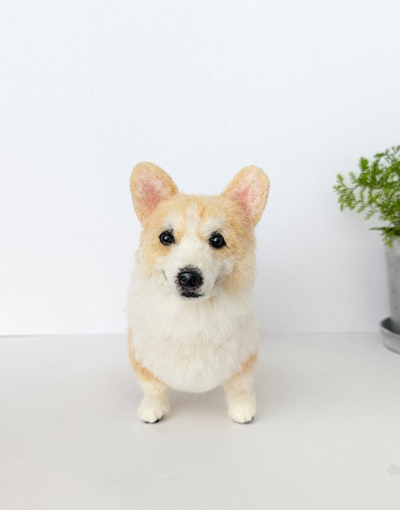 羊毛フェルト　ウエルシュコーギー 羊毛フェルト 犬 コーギー ウェルシュ・コーギー いぬ イヌ 犬