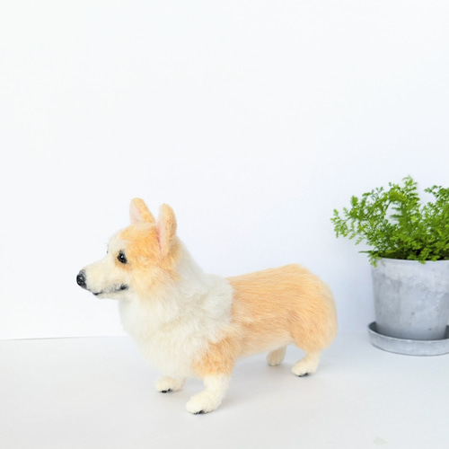 ウェルシュ・コーギー 羊毛フェルト ぬいぐるみ 犬 置き物
