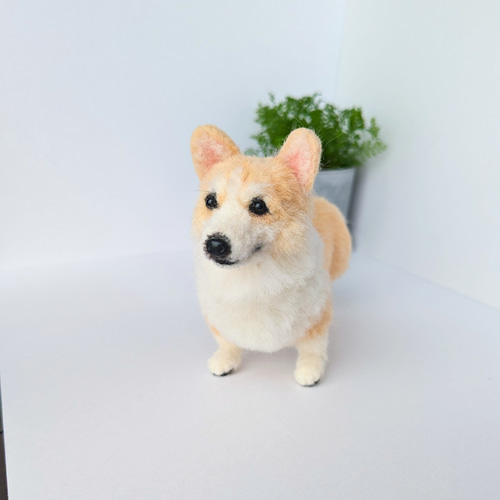 ウェルシュ・コーギー 羊毛フェルト ぬいぐるみ 犬 置き物