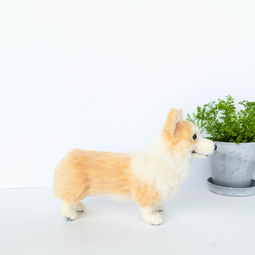 ウェルシュ・コーギー 羊毛フェルト ぬいぐるみ 犬 置き物