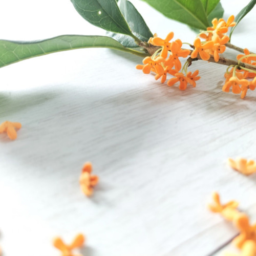 NOTO 金木犀キンモクセイ香水 オードパルファン28ml Fragrant Olive