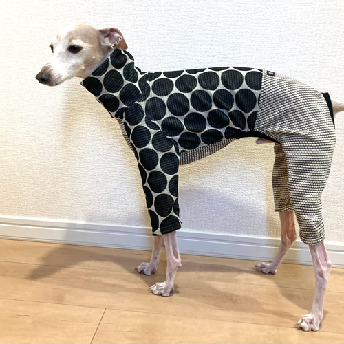 イタグレ服 ドット柄ロンパース ペット服・アクセサリー pinochle 通販 