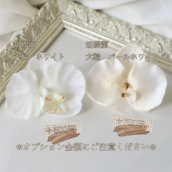 パール胡蝶蘭 コチョウラン◆結婚式、卒業髪飾り　水引飾り◆水引と金箔、和玉やカスミソウの髪飾り　振袖、成人式 4枚目の画像