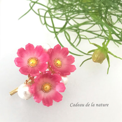 秋桜（コスモス）とコットンパールのポニーフック［赤紫］ 3枚目の画像