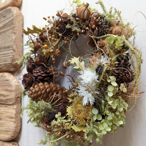 クエキフォリア&ドイツトウヒ ドライフラワーリース リース fu.wa.ran