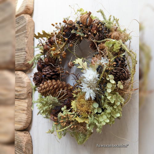 専用＊クエキフォリア&ドイツトウヒ　ドライフラワーリース 専用＊クエキフォリア&ドイツトウヒ ドライフラワーリース