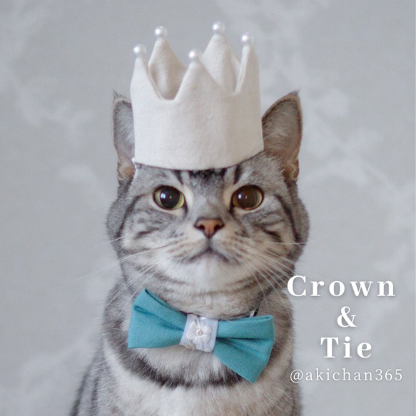 ミニ バースデークラウン【cafeシリーズ】100日 ハーフバースデー 1歳 犬 猫 王冠 バースデー 1枚目の画像