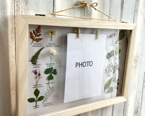 たくさん挟めるフォトフレーム 植物標本箱 写真たて インテリア雑貨