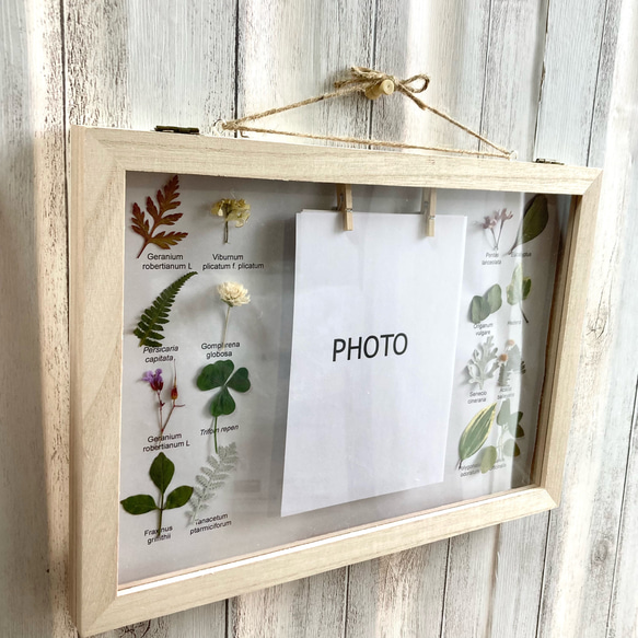 たくさん挟めるフォトフレーム 植物標本箱 写真たて インテリア雑貨