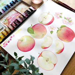りんご  ミニレターセット 4枚目の画像