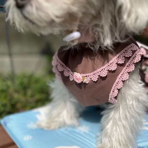 ♥️アンティークローズ柄Cotton♥️スモックフレアワンピース犬服ハンドメイド アンティーク調のローズ柄ワンピース ペット服・アクセサリー