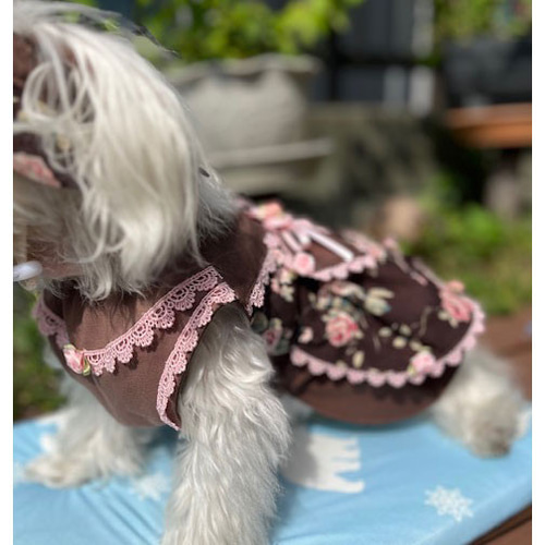 ♥️アンティークローズ柄Cotton♥️スモックフレアワンピース犬服ハンドメイド アンティーク調のローズ柄ワンピース ペット服・アクセサリー