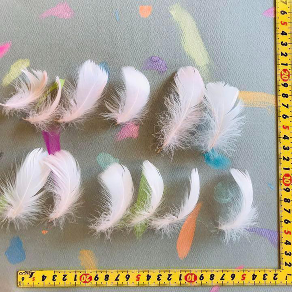 再入荷【FS1ベイビーピンク】羽  フラワーシャワー  花吹雪 鳥の羽根 フラダンス 4枚目の画像