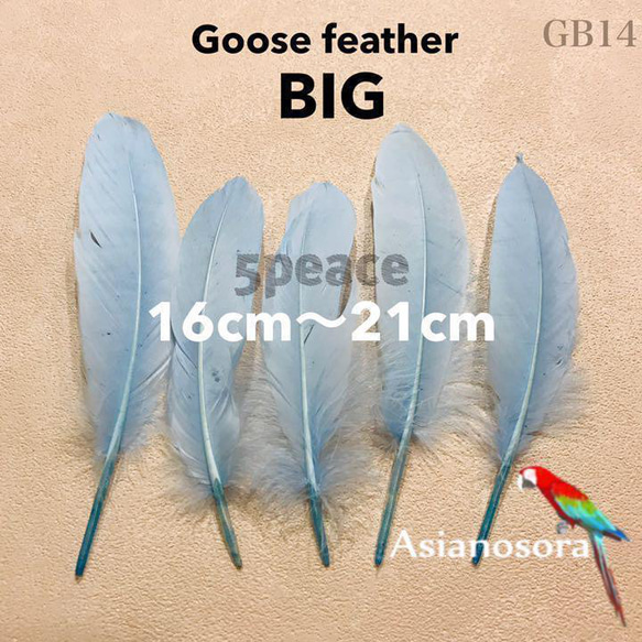 【GB14スカイ】ガチョウ 羽根 大 5枚 フェザー 鳥の羽根 素材 羽 1枚目の画像