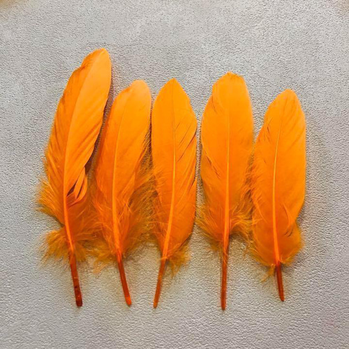 GB1オレンジ】ガチョウ 羽根 大 5枚 フェザー 鳥の羽根 素材 その他
