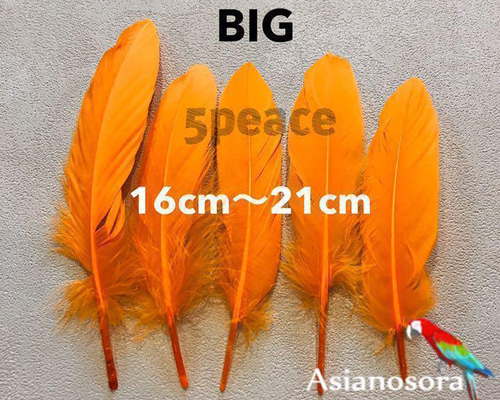 羽毛素材 まとめて d20dc02bd9b932da39bfa45187650f