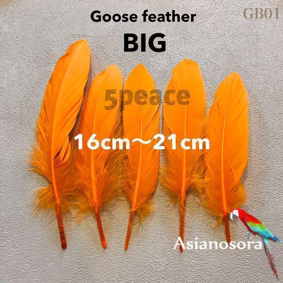 GB1オレンジ】ガチョウ 羽根 大 5枚 フェザー 鳥の羽根 素材 その他