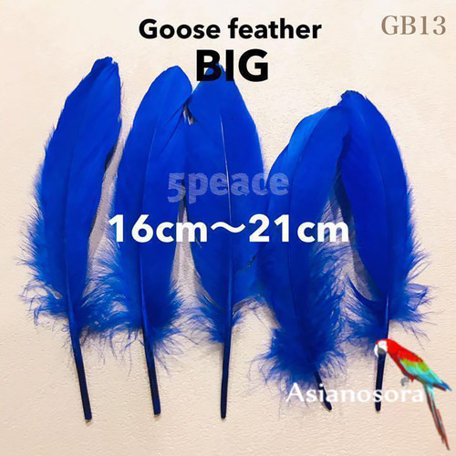 GB13青】ガチョウ 羽根 大 5枚 フェザー 鳥の羽根 素材 羽