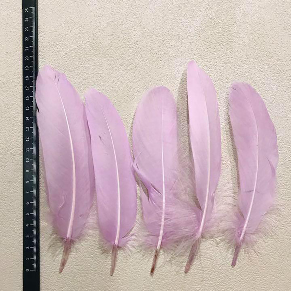 【GB12ラベンダー】ガチョウ 羽根 大 5枚 フェザー 鳥の羽根 羽 DIY 2枚目の画像