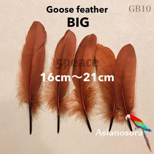 【GB10茶】ガチョウ 羽根 大 5枚 鳥の羽根 フェザー 素材 羽 DIY 1枚目の画像