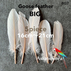 クジャク 10枚】❤️孔雀の羽根 目玉 パーツ 鳥の羽根