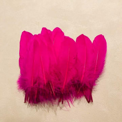 【GB15濃ピンク】ガチョウ 羽根 大 5枚 フェザー 鳥の羽根 素材 羽 4枚目の画像