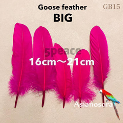 【GB15濃ピンク】ガチョウ 羽根 大 5枚 フェザー 鳥の羽根 素材 羽 1枚目の画像