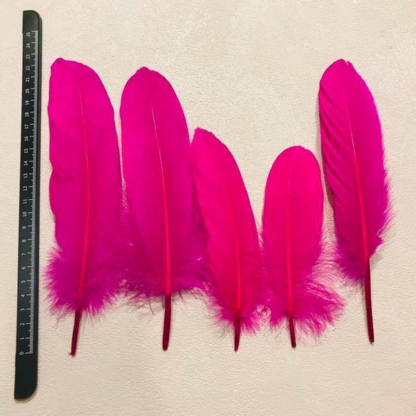 【GB15濃ピンク】ガチョウ 羽根 大 5枚 フェザー 鳥の羽根 素材 羽 2枚目の画像