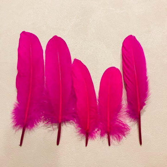 【GB15濃ピンク】ガチョウ 羽根 大 5枚 フェザー 鳥の羽根 素材 羽 3枚目の画像